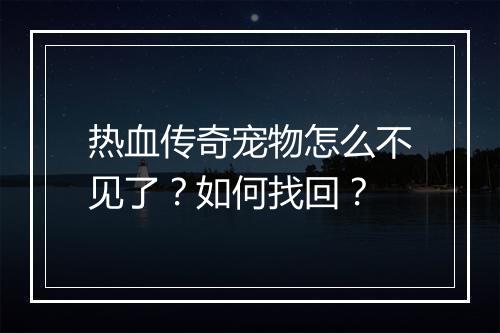 热血传奇宠物怎么不见了？如何找回？