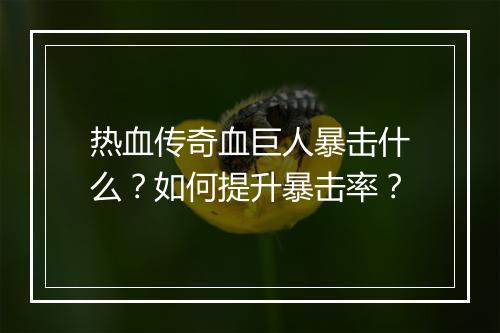 热血传奇血巨人暴击什么？如何提升暴击率？