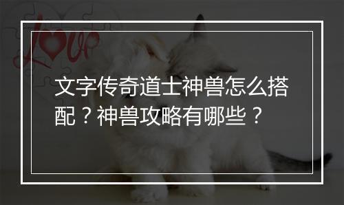 文字传奇道士神兽怎么搭配？神兽攻略有哪些？