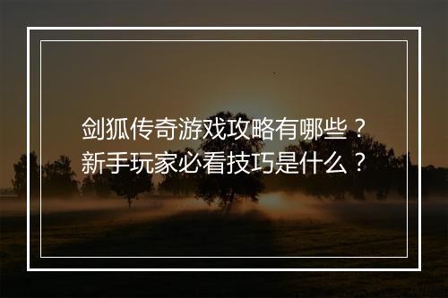 剑狐传奇游戏攻略有哪些？新手玩家必看技巧是什么？
