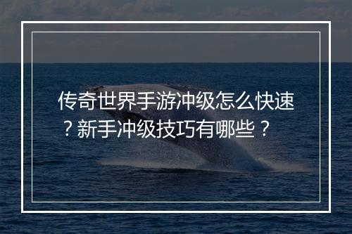 传奇世界手游冲级怎么快速？新手冲级技巧有哪些？