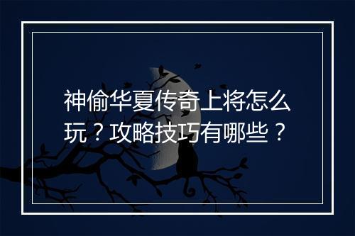 神偷华夏传奇上将怎么玩？攻略技巧有哪些？