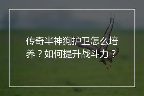 传奇半神狗护卫怎么培养？如何提升战斗力？
