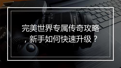 完美世界专属传奇攻略，新手如何快速升级？