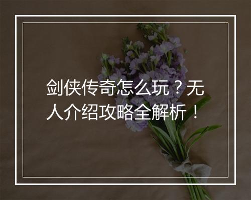 剑侠传奇怎么玩？无人介绍攻略全解析！