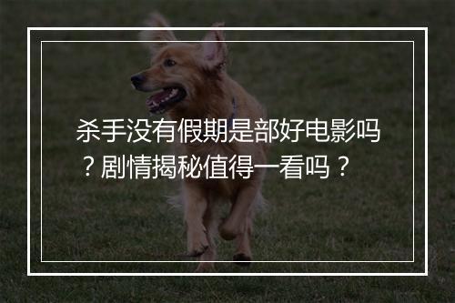 杀手没有假期是部好电影吗？剧情揭秘值得一看吗？