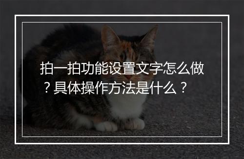 拍一拍功能设置文字怎么做？具体操作方法是什么？