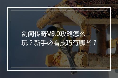 剑阁传奇V3.0攻略怎么玩？新手必看技巧有哪些？