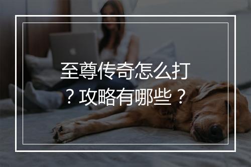 至尊传奇怎么打？攻略有哪些？