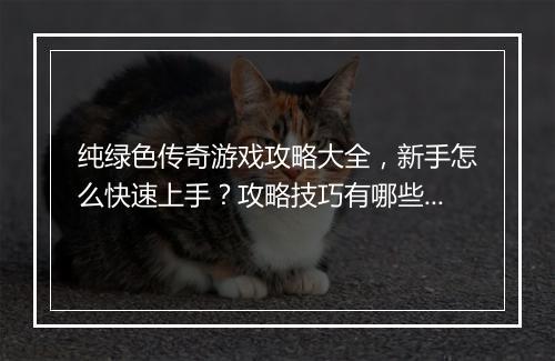 纯绿色传奇游戏攻略大全，新手怎么快速上手？攻略技巧有哪些？
