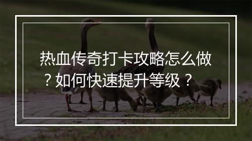 热血传奇打卡攻略怎么做？如何快速提升等级？