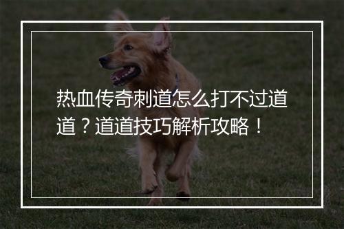 热血传奇刺道怎么打不过道道？道道技巧解析攻略！