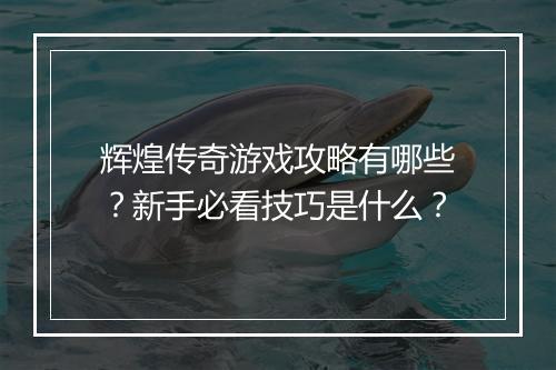 辉煌传奇游戏攻略有哪些？新手必看技巧是什么？