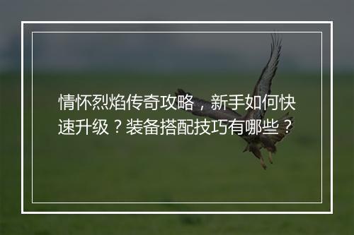 情怀烈焰传奇攻略，新手如何快速升级？装备搭配技巧有哪些？