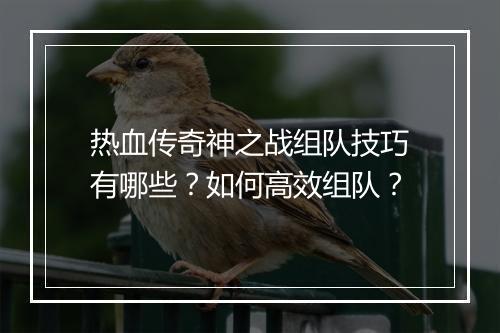 热血传奇神之战组队技巧有哪些？如何高效组队？