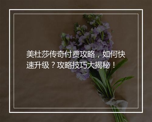 美杜莎传奇付费攻略，如何快速升级？攻略技巧大揭秘！