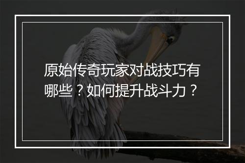 原始传奇玩家对战技巧有哪些？如何提升战斗力？