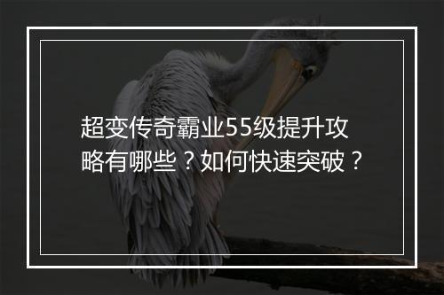 超变传奇霸业55级提升攻略有哪些？如何快速突破？