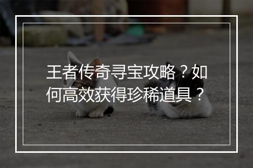 王者传奇寻宝攻略？如何高效获得珍稀道具？
