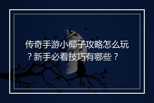 传奇手游小椰子攻略怎么玩？新手必看技巧有哪些？