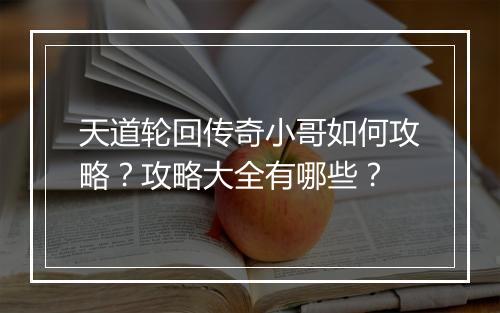 天道轮回传奇小哥如何攻略？攻略大全有哪些？