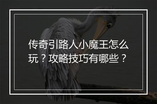 传奇引路人小魔王怎么玩？攻略技巧有哪些？