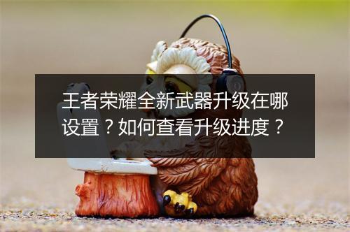 王者荣耀全新武器升级在哪设置？如何查看升级进度？