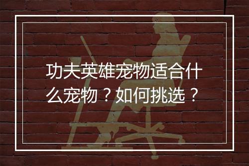 功夫英雄宠物适合什么宠物？如何挑选？