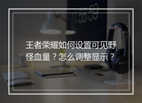 王者荣耀如何设置可见野怪血量？怎么调整显示？