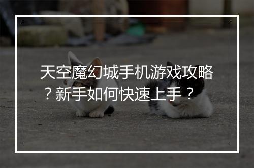 天空魔幻城手机游戏攻略？新手如何快速上手？