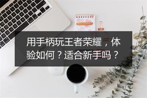 用手柄玩王者荣耀，体验如何？适合新手吗？