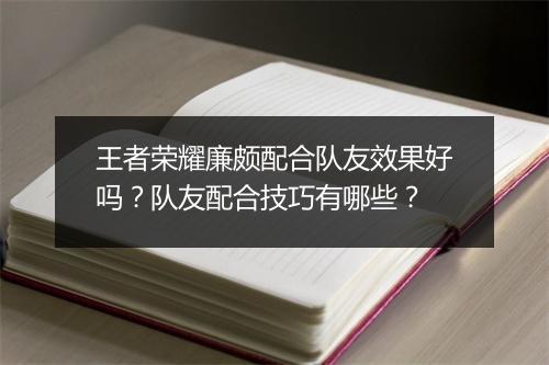 王者荣耀廉颇配合队友效果好吗？队友配合技巧有哪些？