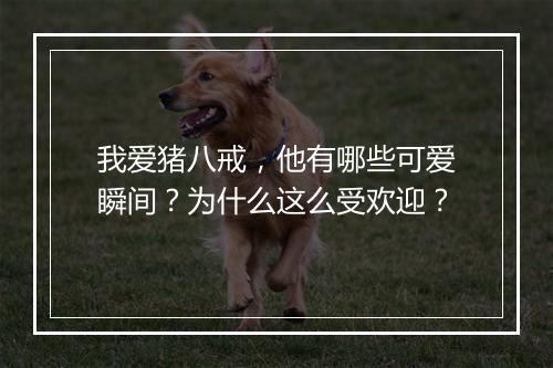 我爱猪八戒，他有哪些可爱瞬间？为什么这么受欢迎？