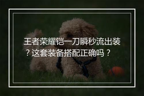 王者荣耀铠一刀瞬秒流出装？这套装备搭配正确吗？