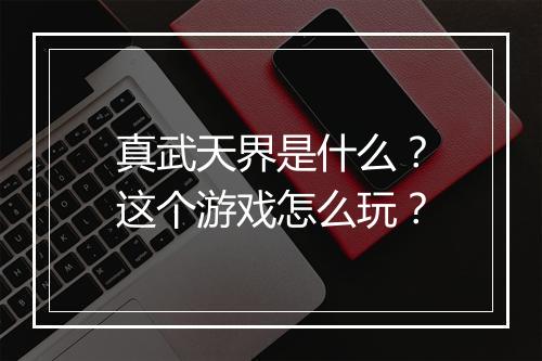 真武天界是什么？这个游戏怎么玩？