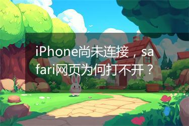 iPhone尚未连接，safari网页为何打不开？