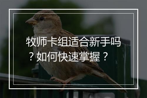 牧师卡组适合新手吗？如何快速掌握？