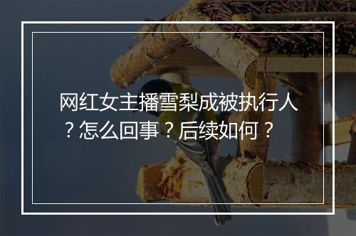 网红女主播雪梨成被执行人？怎么回事？后续如何？
