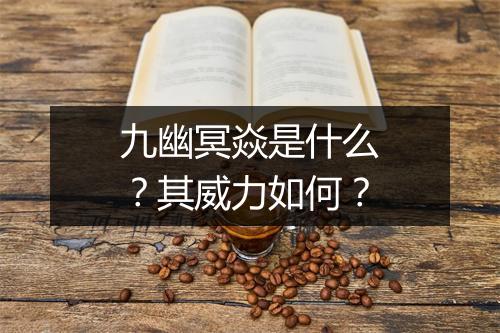 九幽冥焱是什么？其威力如何？