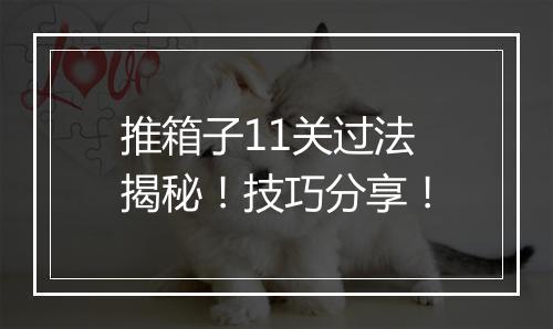 推箱子11关过法揭秘！技巧分享！