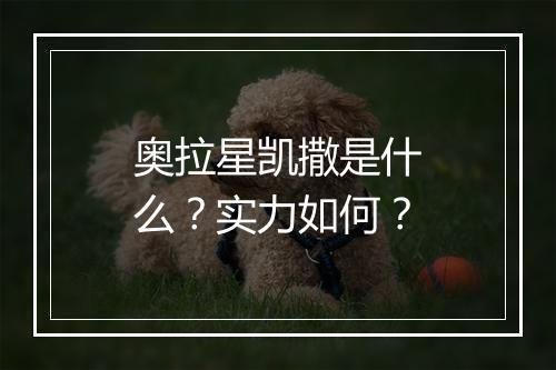 奥拉星凯撒是什么？实力如何？