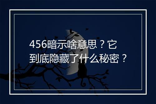 456暗示啥意思？它到底隐藏了什么秘密？
