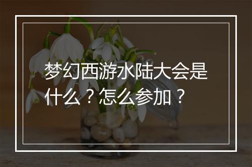 梦幻西游水陆大会是什么？怎么参加？