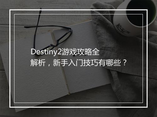Destiny2游戏攻略全解析，新手入门技巧有哪些？