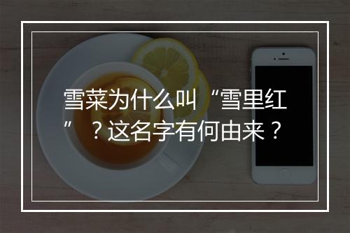雪菜为什么叫“雪里红”？这名字有何由来？