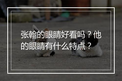张翰的眼睛好看吗？他的眼睛有什么特点？