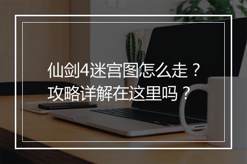 仙剑4迷宫图怎么走？攻略详解在这里吗？