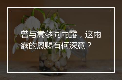 曾与嵩藜同雨露，这雨露的恩赐有何深意？