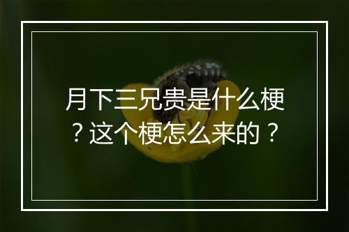 月下三兄贵是什么梗？这个梗怎么来的？