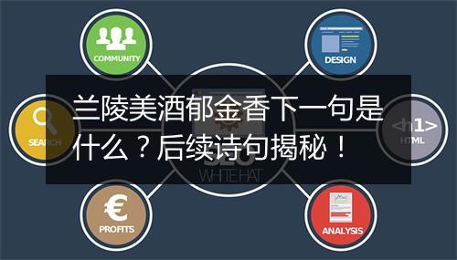 兰陵美酒郁金香下一句是什么？后续诗句揭秘！